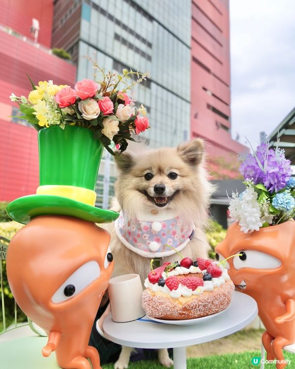 大嘥鬼｢尋找愛麗B｣互動打卡花園