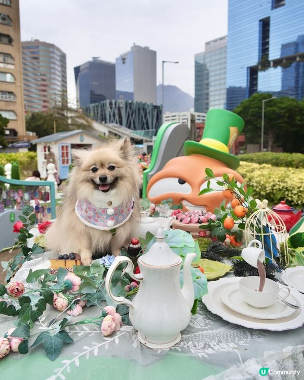 大嘥鬼｢尋找愛麗B｣互動打卡花園