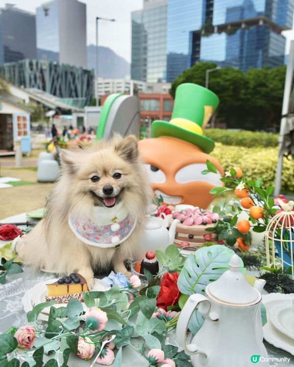 大嘥鬼｢尋找愛麗B｣互動打卡花園