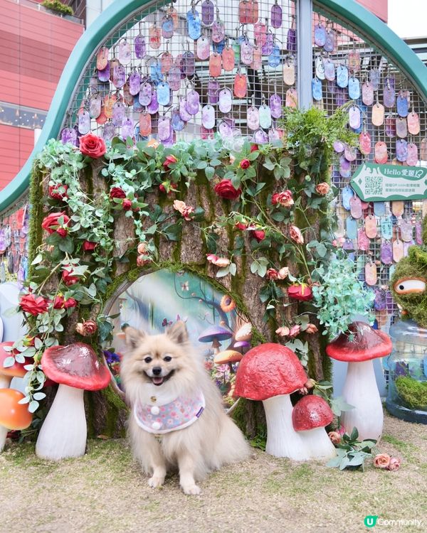 大嘥鬼｢尋找愛麗B｣互動打卡花園