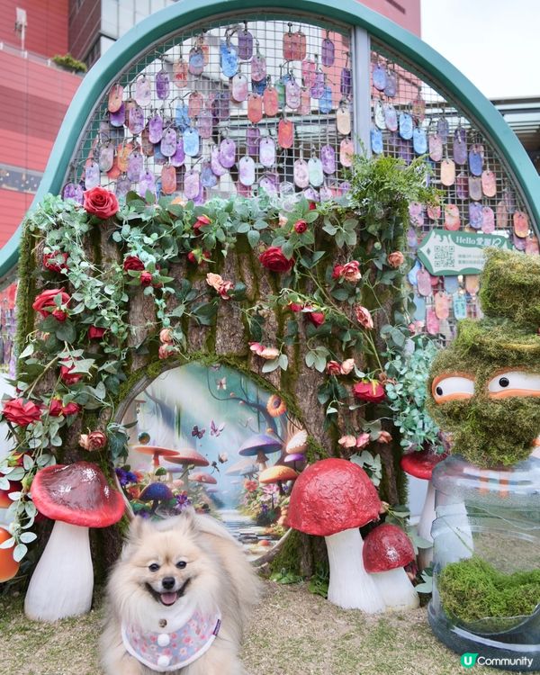 大嘥鬼｢尋找愛麗B｣互動打卡花園