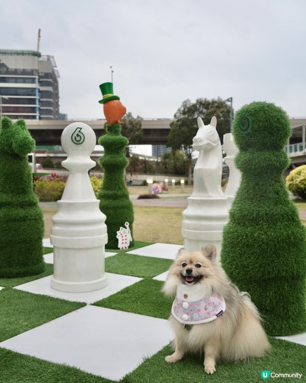 大嘥鬼｢尋找愛麗B｣互動打卡花園