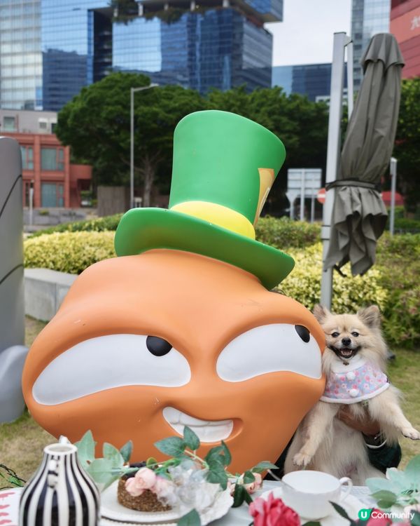 大嘥鬼｢尋找愛麗B｣互動打卡花園