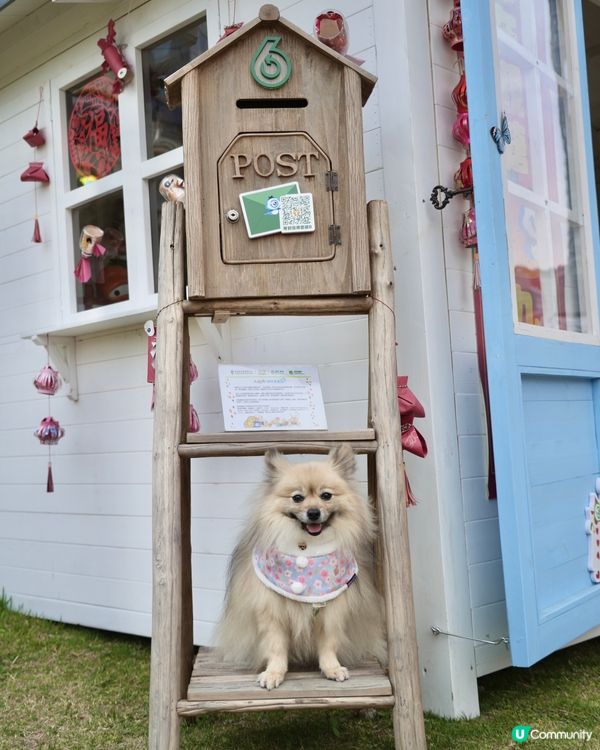 大嘥鬼｢尋找愛麗B｣互動打卡花園