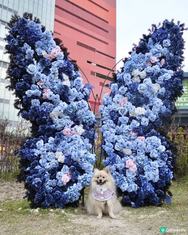 大嘥鬼｢尋找愛麗B｣互動打卡花園
