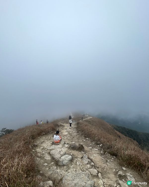 挑戰全港第二大山⛰️