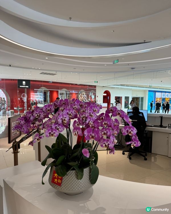 2025廣州塔最新商場開幕🥂