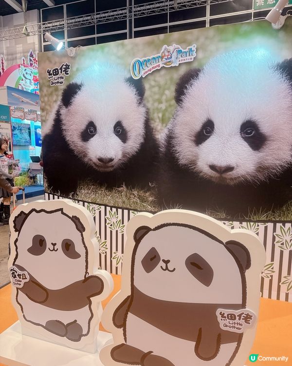 ## 海洋公園店仔掃貨 🐼🛍️