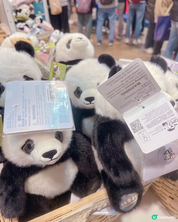## 海洋公園店仔掃貨 🐼🛍️