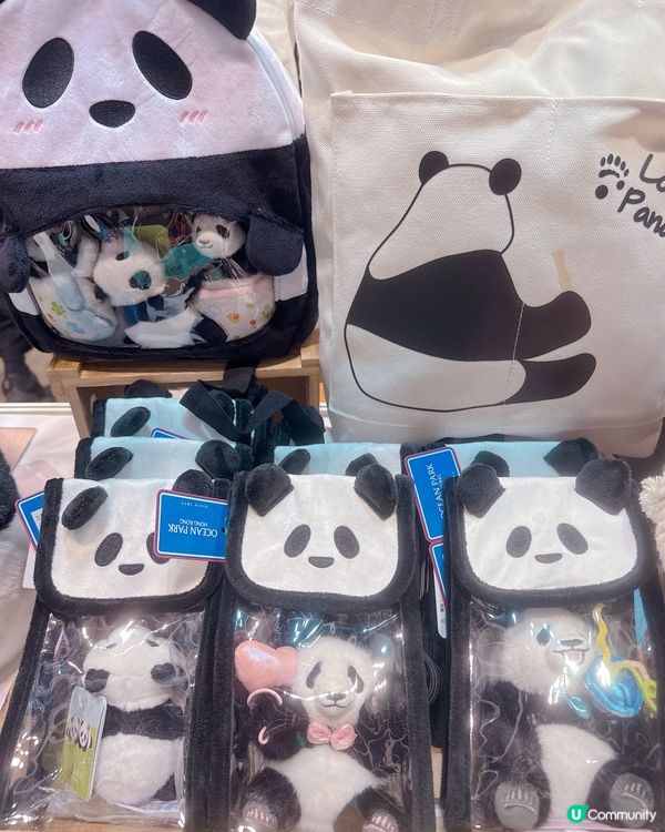 ## 海洋公園店仔掃貨 🐼🛍️