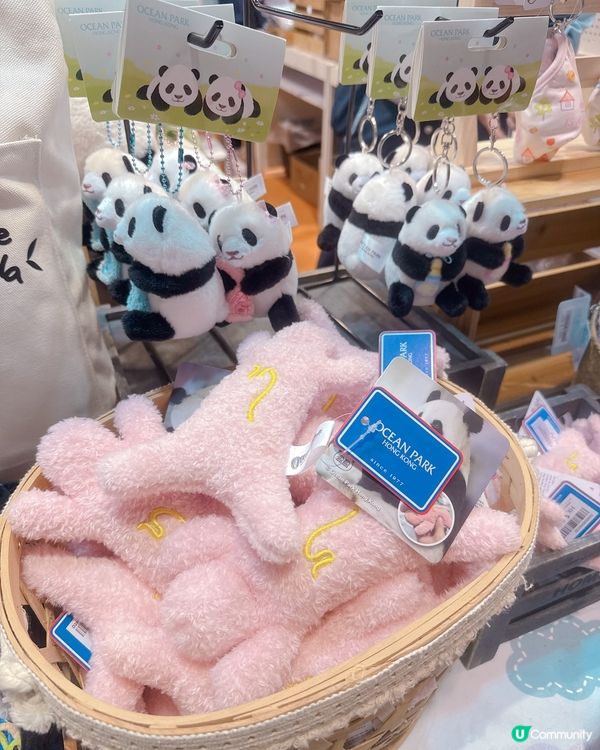 ## 海洋公園店仔掃貨 🐼🛍️