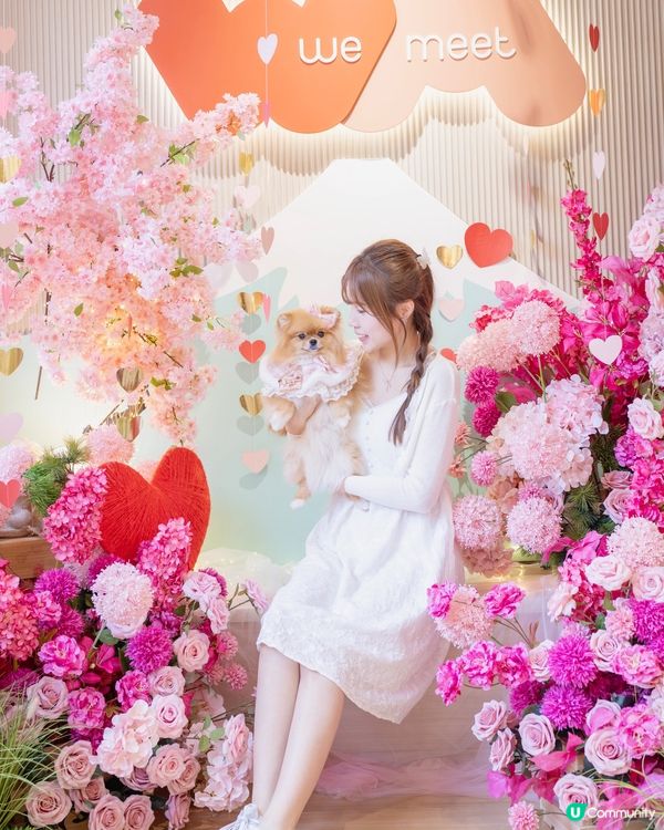 🌹🩷𝓛𝓸𝓿𝓮 𝓘𝓷 𝓕𝓮𝓫𝓻𝓾𝓪𝓻𝔂🩷🌹