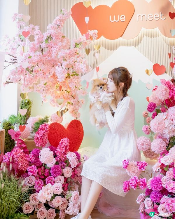 🌹🩷𝓛𝓸𝓿𝓮 𝓘𝓷 𝓕𝓮𝓫𝓻𝓾𝓪𝓻𝔂🩷🌹