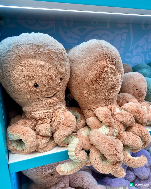 ✨深圳🇨🇳-⚠️💬深圳都有Jellycat⁉️💢原來是這樣誕生的‼️