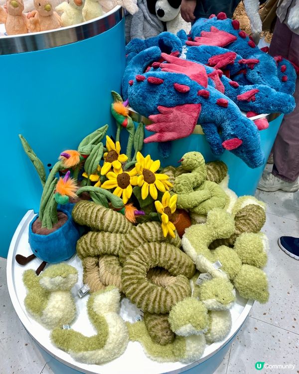 ✨深圳🇨🇳-⚠️💬深圳都有Jellycat⁉️💢原來是這樣誕生的‼️