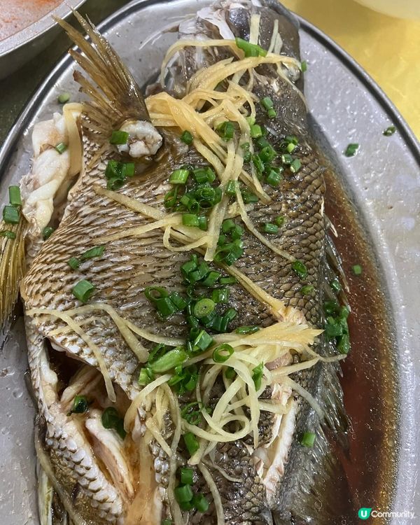 珠海白藤頭海鮮市場🦀食到停唔到口🤤