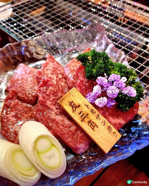 銅鑼灣人氣居酒屋！！！ 露營生活😝💕