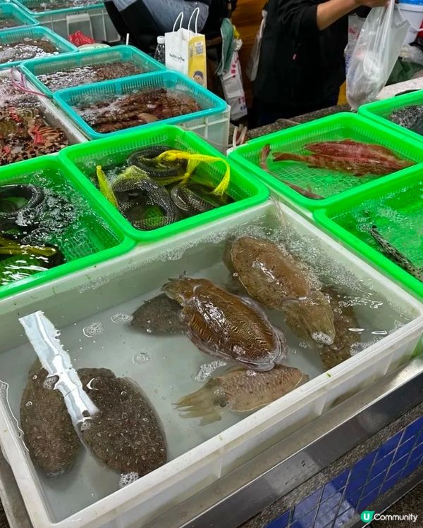 珠海白藤頭海鮮市場🦀食到停唔到口🤤