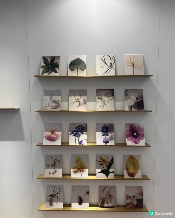 Chloé Atelier des Fleurs 💐