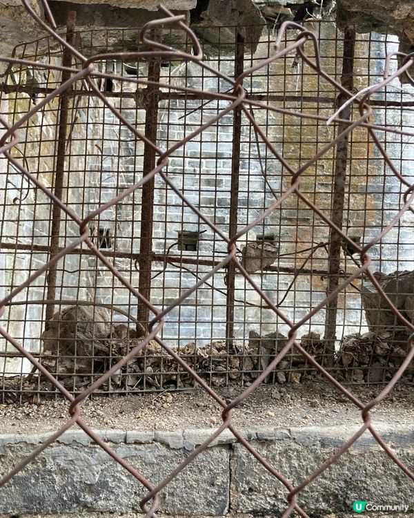 ## 元朗尋味之旅 🚶‍♀️🌸