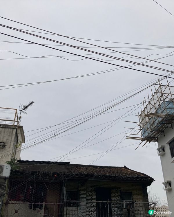 ## 元朗尋味之旅 🚶‍♀️🌸