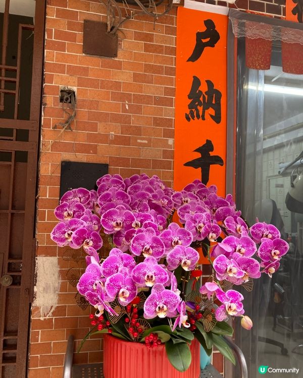 ## 元朗尋味之旅 🚶‍♀️🌸