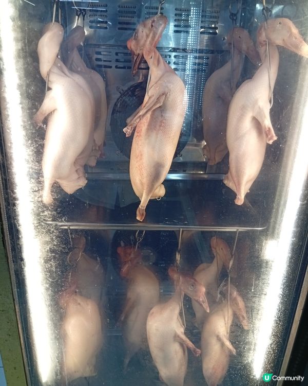 筲箕灣東大街美食天堂 🤤😋