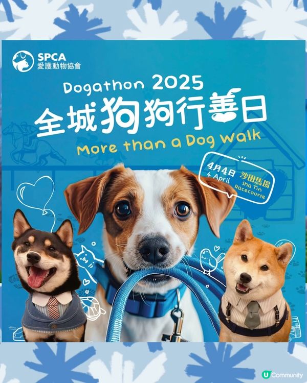 🐶✨【毛孩年度盛典!解鎖限定版🐎馬場體驗】✨🐾