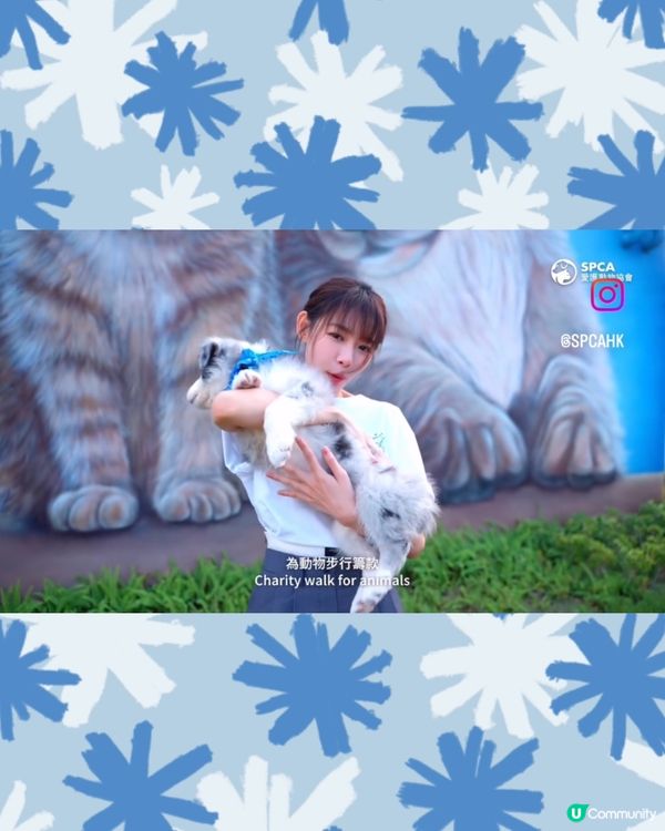 🐶✨【毛孩年度盛典!解鎖限定版🐎馬場體驗】✨🐾