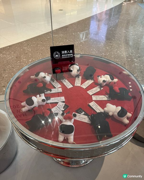 廣州小武兔高端手工冰淇淋介紹