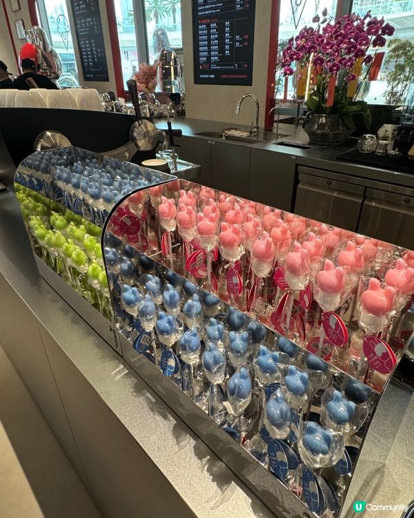 廣州小武兔高端手工冰淇淋介紹