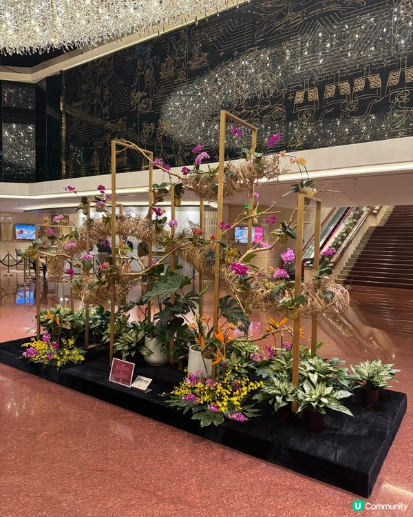 廣州中國大酒店推介💕