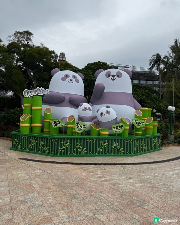 ｢🇭🇰海洋公園比迪士尼更值回票價‼️｣