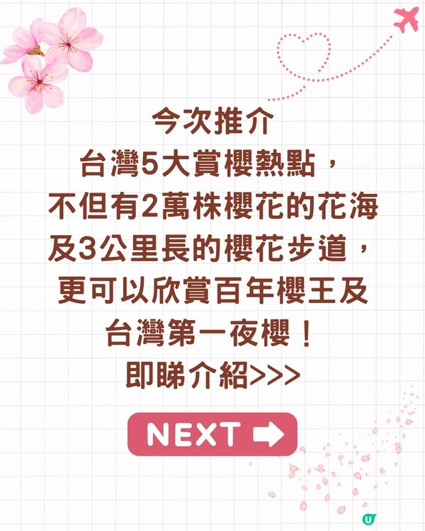 2025台灣5大櫻花景點推介🌸陽明山/九族/武陵農場賞櫻攻略🔥附花期+票價+交通資訊