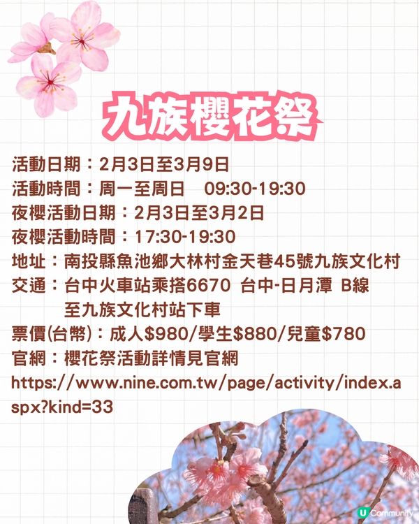 2025台灣5大櫻花景點推介🌸陽明山/九族/武陵農場賞櫻攻略🔥附花期+票價+交通資訊