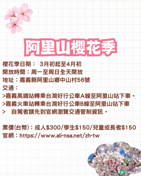 2025台灣5大櫻花景點推介🌸陽明山/九族/武陵農場賞櫻攻略🔥附花期+票價+交通資訊