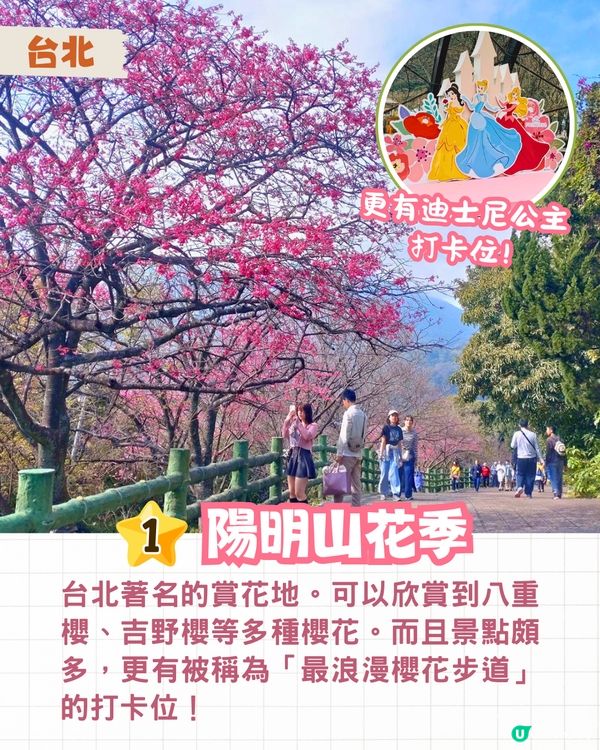 2025台灣5大櫻花景點推介🌸陽明山/九族/武陵農場賞櫻攻略🔥附花期+票價+交通資訊