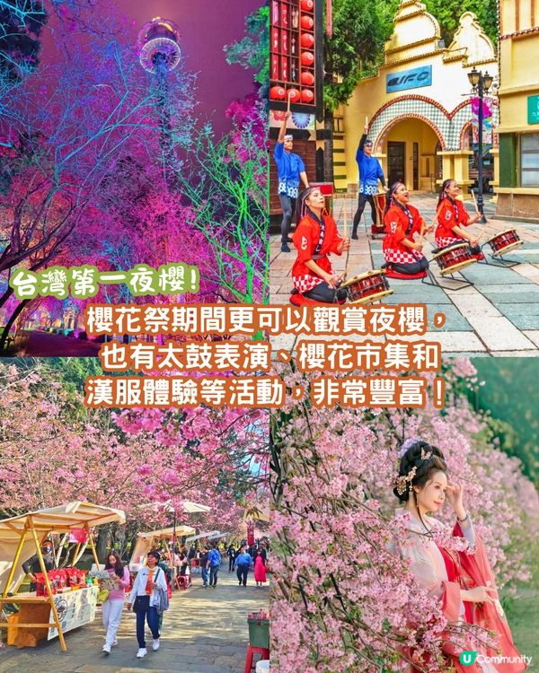 2025台灣5大櫻花景點推介🌸陽明山/九族/武陵農場賞櫻攻略🔥附花期+票價+交通資訊