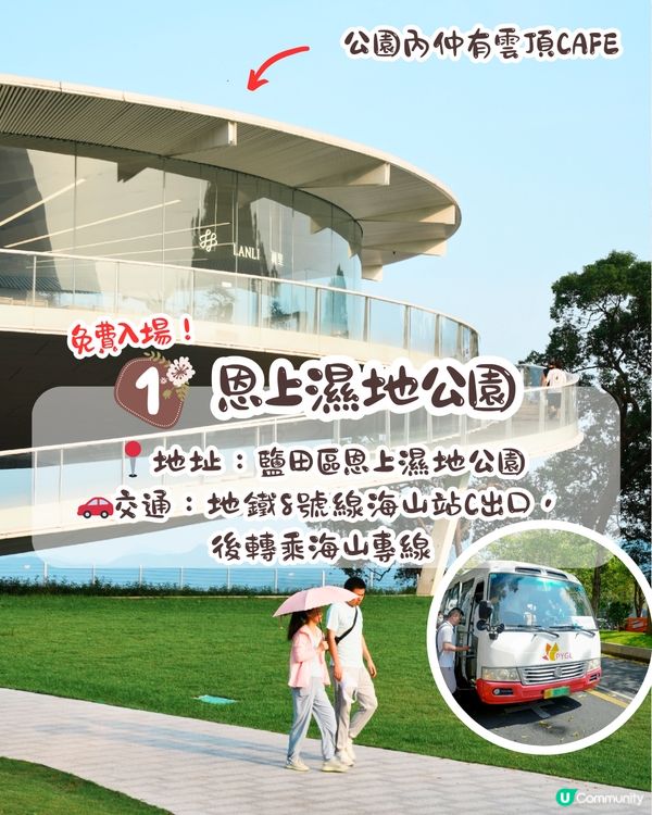 深圳大波斯菊花海📸2大新晉打卡公園‼️免費入場/附交通教學+4大打卡TIPS