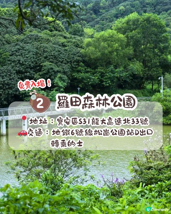 深圳大波斯菊花海📸2大新晉打卡公園‼️免費入場/附交通教學+4大打卡TIPS