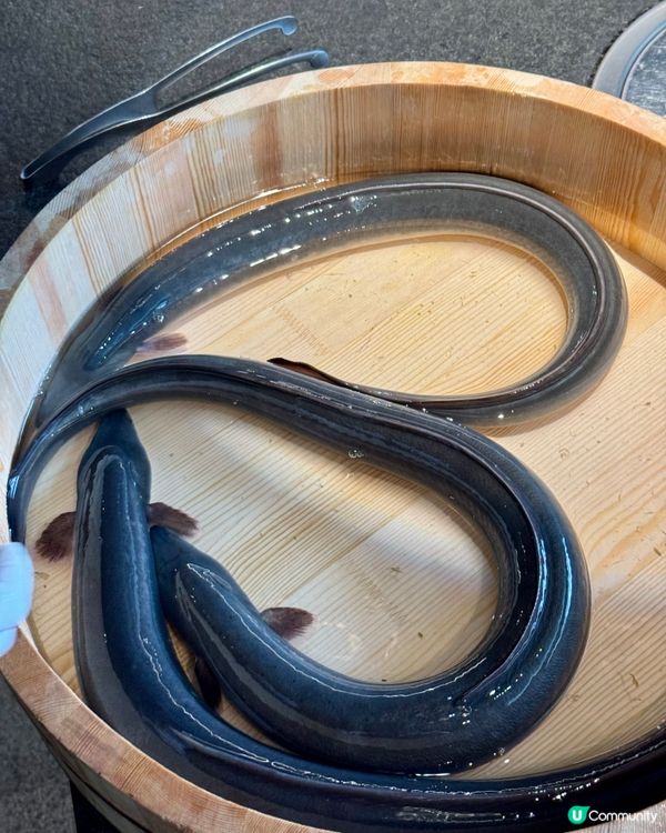 五年必吃榜🥇四年廣州米其林指南餐廳🎖️