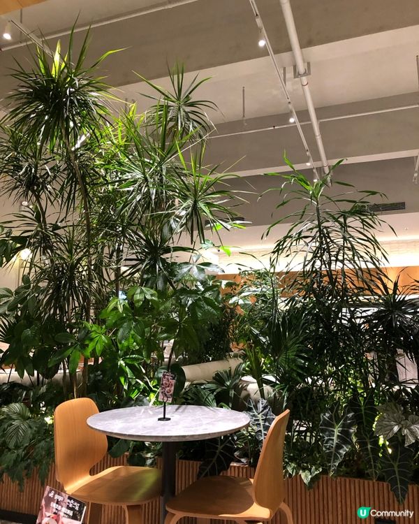 gaga 3-4人套餐｜有齊頭盤主菜小食沙律特飲｜壹方天地