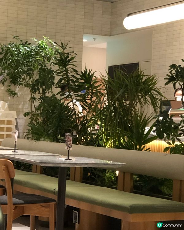 gaga 3-4人套餐｜有齊頭盤主菜小食沙律特飲｜壹方天地