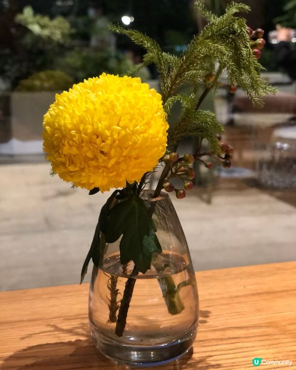 gaga 3-4人套餐｜有齊頭盤主菜小食沙律特飲｜壹方天地