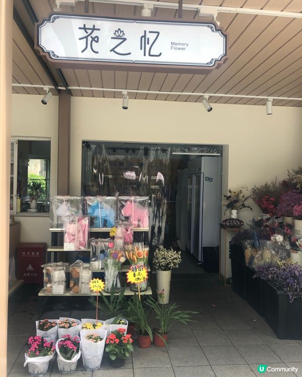 免費入鎮｜未見過嘅花｜值得一遊｜荷蘭花卉小鎮｜深圳南山