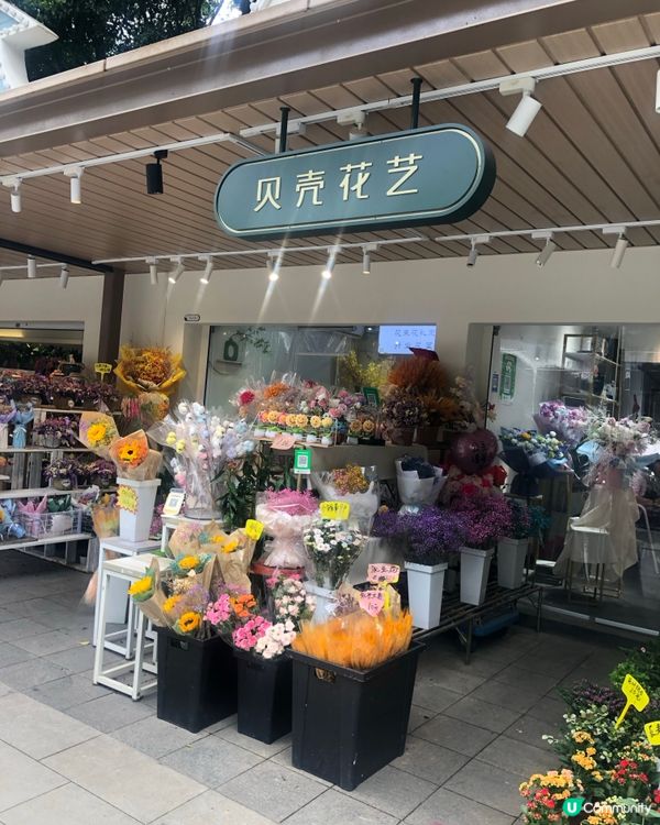 免費入鎮｜未見過嘅花｜值得一遊｜荷蘭花卉小鎮｜深圳南山