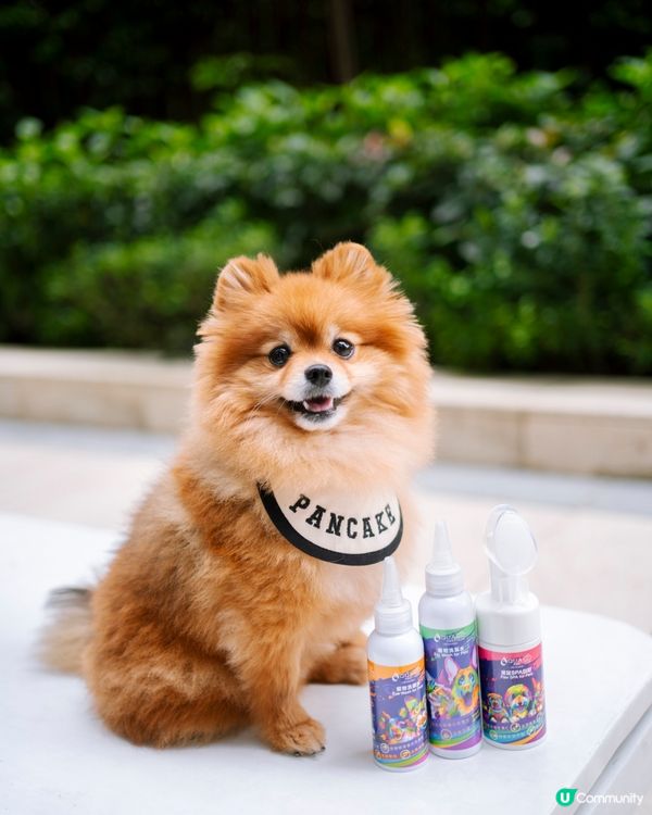 寵物日常護理必備3寶｜香港製造