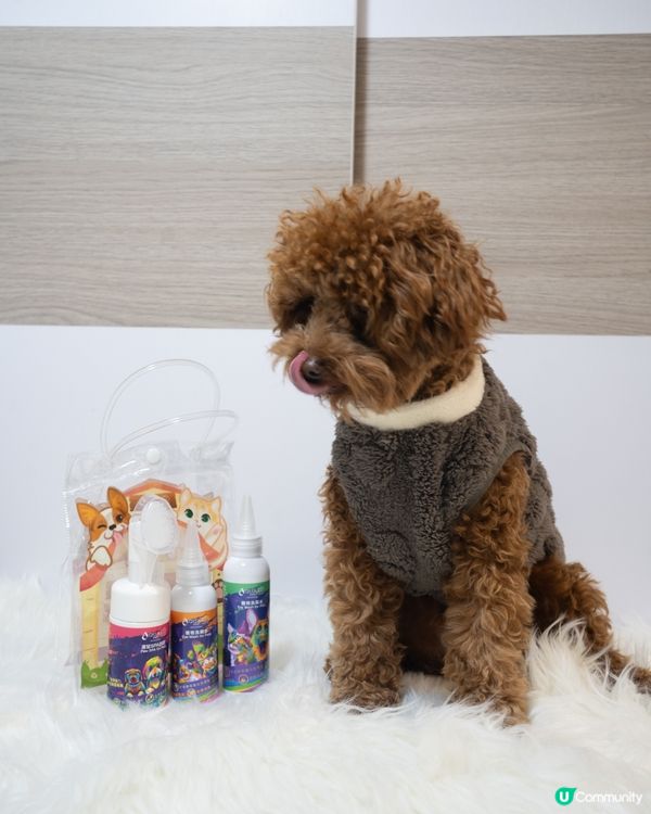 🐶🐱必備洗護套裝🫧！