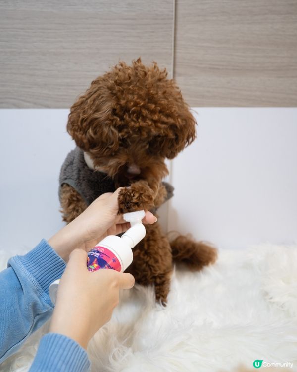 🐶🐱必備洗護套裝🫧！