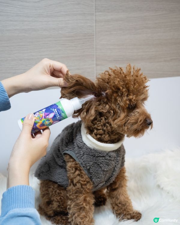 🐶🐱必備洗護套裝🫧！